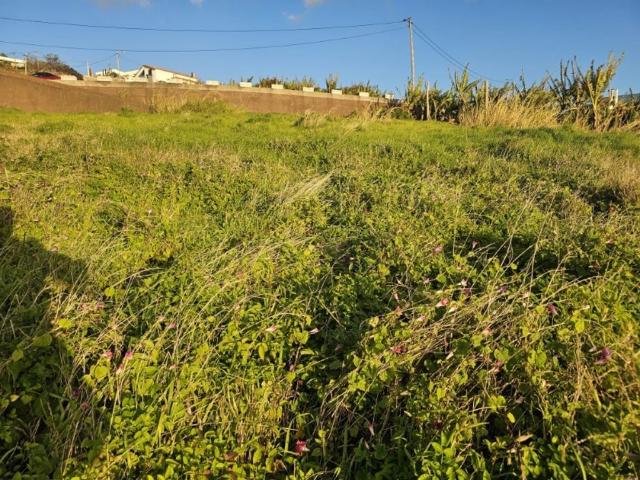 Terreno à venda Calheta, Portugal