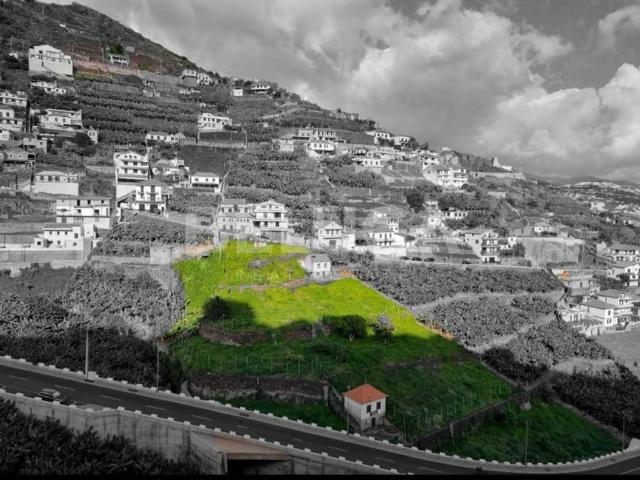 Terreno à venda Câmara de Lobos, Madeira