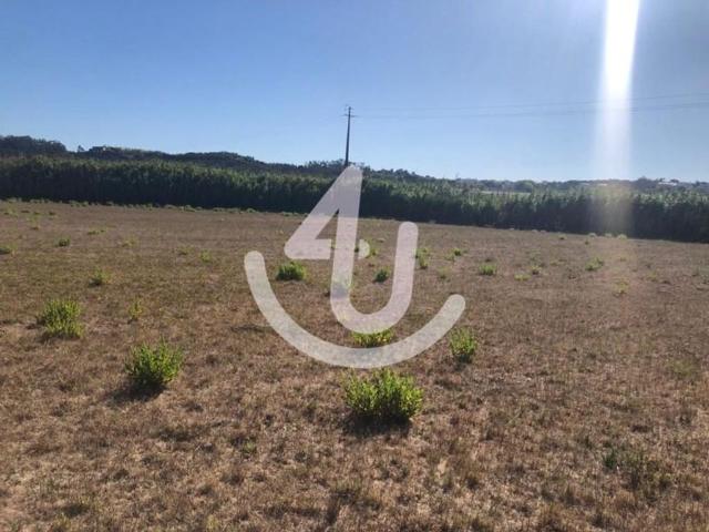 Terreno à venda Campo, Caldas da Rainha, Leiria