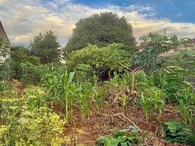 Terreno à venda, Campinas/SP