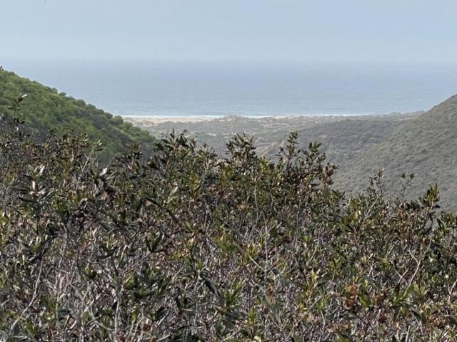 Terreno à venda Carrapateira, Aljezur, Faro