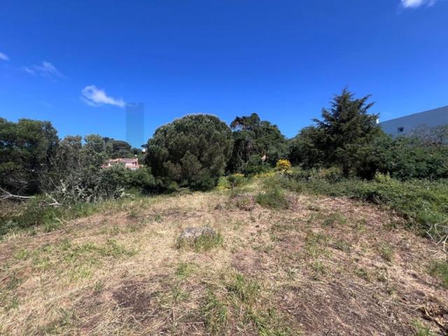 Terreno à venda Cascais, Lisboa