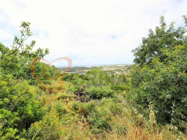 Terreno à venda Cerro da Piedade, Albufeira, Faro