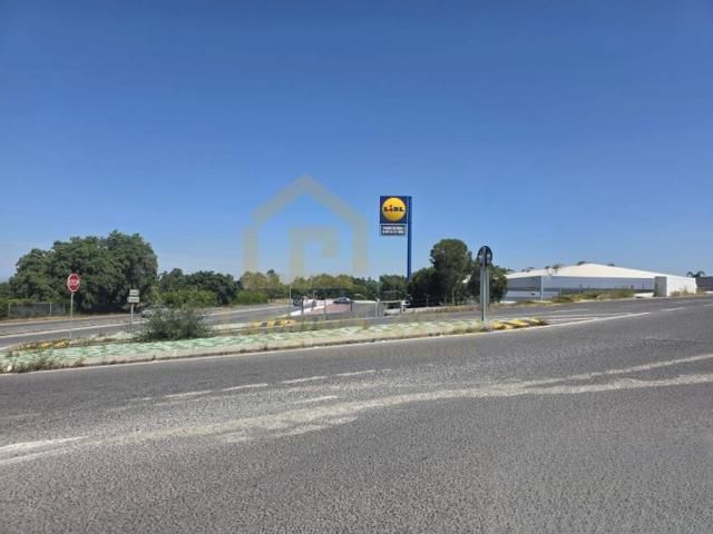 Terreno à venda Charneca da Cotovia, Sesimbra, Setúbal