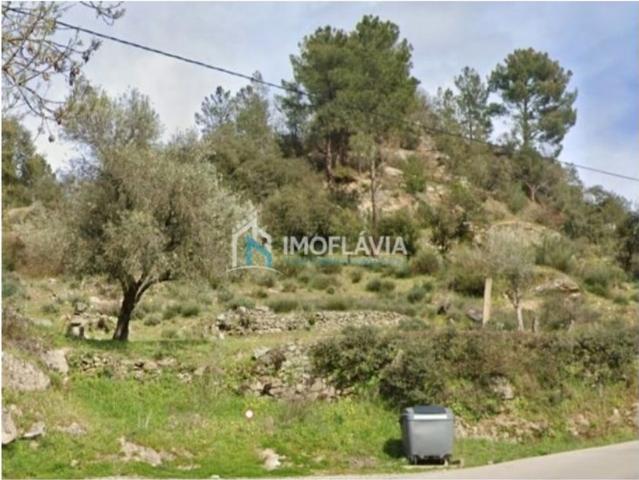 Terreno à venda Chaves, Vila Real