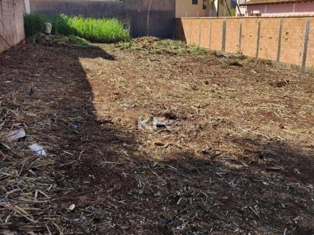 Terreno á venda City Ribeirão Ribeirão Preto/SP