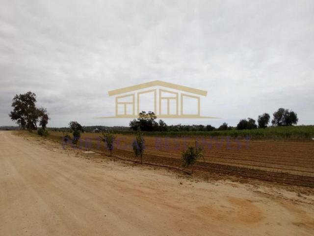 Terreno à venda Albufeira, Faro