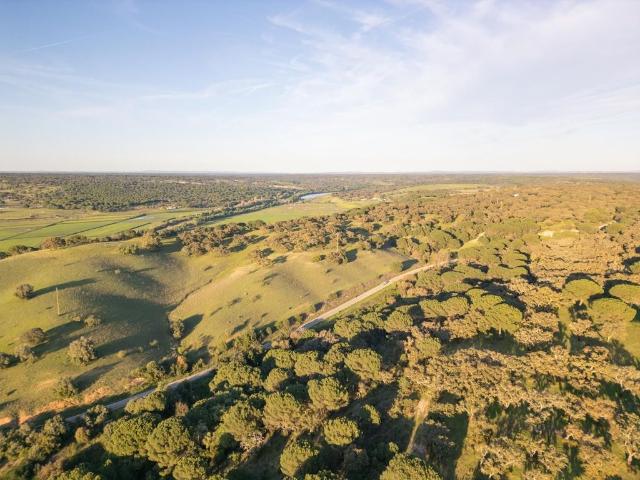 Terreno à venda Alcácer do Sal, Portugal