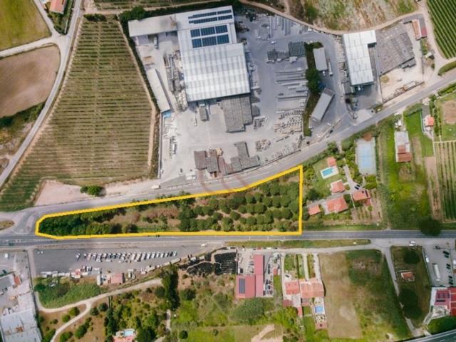 Terreno à venda Alcobaça, Leiria