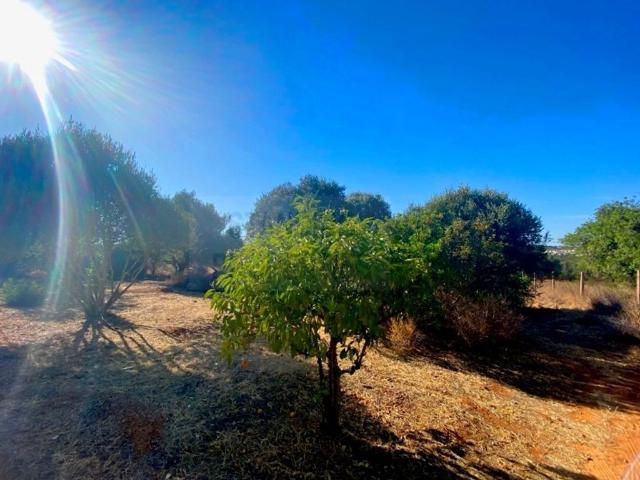 Terreno à venda Almancil, Loulé, Faro