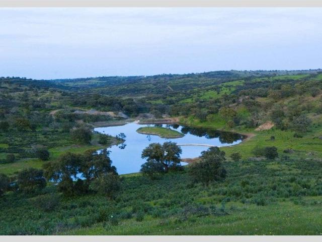 Terreno à venda Almodôvar, Beja