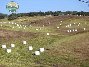 Terreno à venda Arredores, Santiago do Cacém, Setúbal
