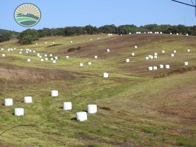 Terreno à venda Arredores, Santiago do Cacém, Setúbal