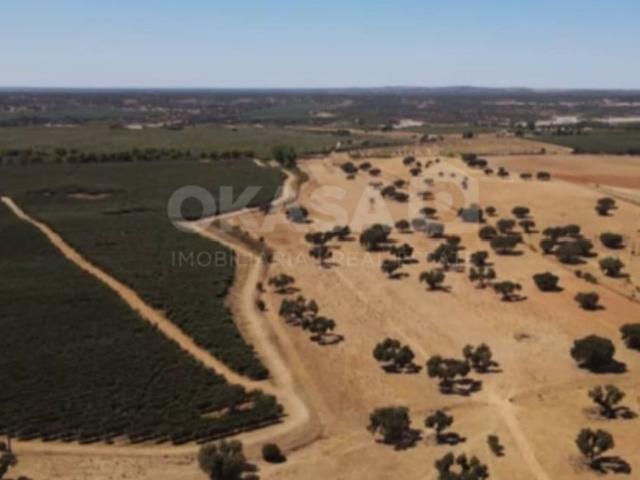 Terreno à venda Avis, Portugal
