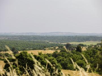Terreno à venda Avis, Portalegre
