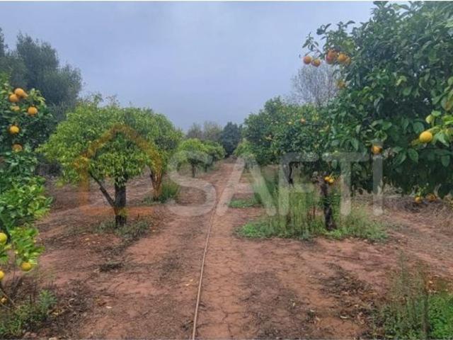 Terreno à venda Boliqueime, Loulé, Faro