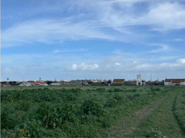 Terreno à venda Bairro da Bela Colonia, Montijo, Setúbal