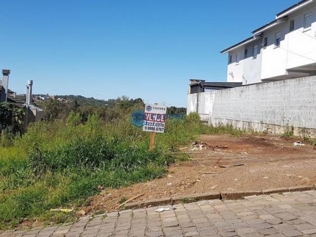 Terreno a venda bairro São Caetano