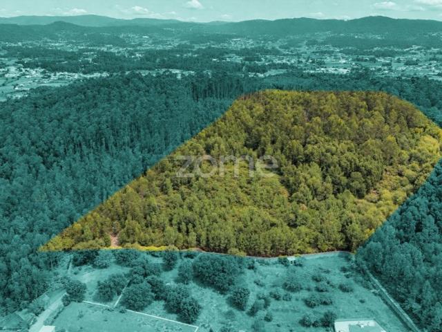 Terreno à venda Barcelos, Braga