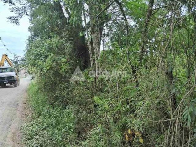 Terreno à venda, Barreiro, Rebouças, PR
