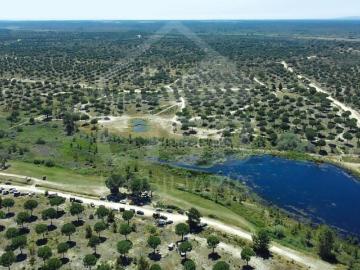 Terreno à venda Benavente, Santarém