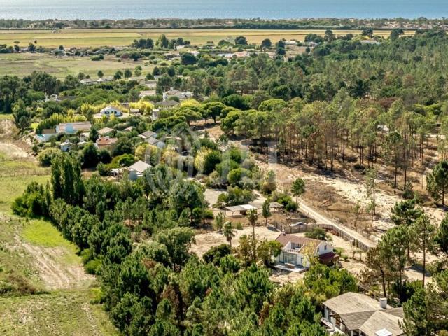 Terreno à venda Brejos da Carregueira de Baixo, Alcácer do Sal, Setúbal