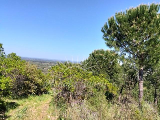 Terreno à venda Grândola, Setúbal