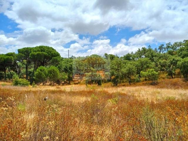 Terreno à venda Grândola, Setúbal