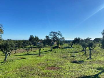 Terreno à venda Grândola, Setúbal