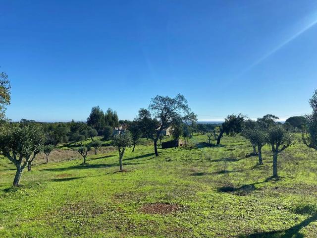 Terreno à venda Grândola, Setúbal