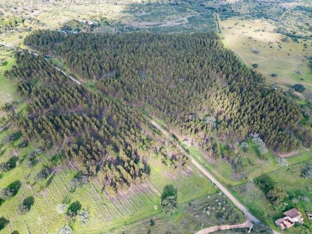 Terreno à venda Grândola, Portugal