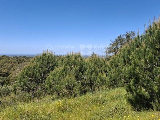 Terreno à venda Grândola, Setúbal