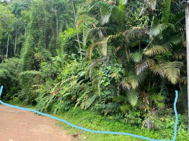 TERRENO A VENDA DE 668 M² EM UBATUBA SP / ALTOS DA PRAIA VERMELHA