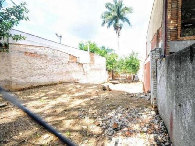 terreno á venda e para aluguel em Cambuí