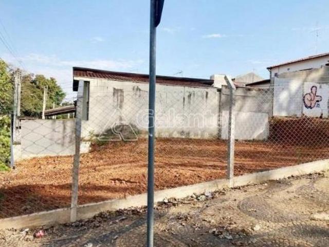 terreno á venda e para aluguel em Jardim Bela Vista