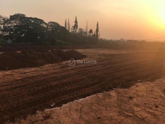 terreno á venda e para aluguel em Vila Ipê