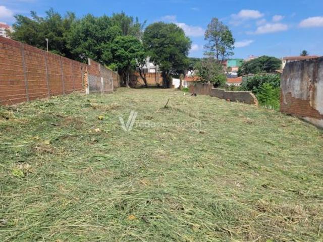 terreno á venda e para aluguel em Vila Marieta