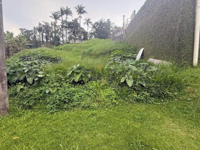Terreno à venda em Cotia