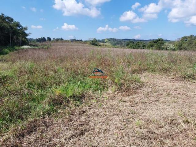 Terreno à venda em Cotia SP, bairro Capelinha, 26.000m² de área privilegiada!