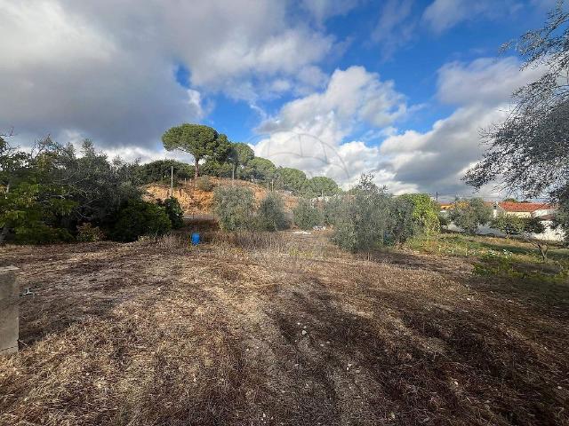 Terreno à venda em Couço, Coruche RE/MAX Portugal