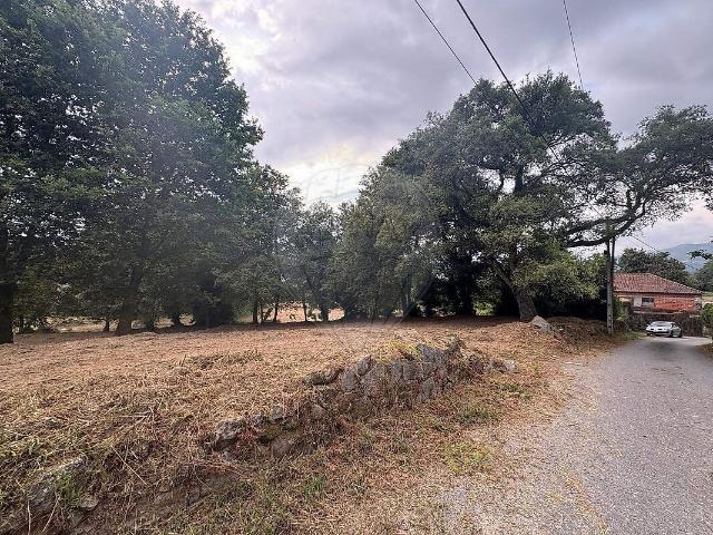 Terreno à venda em Coucieiro, Vila Verde RE/MAX Portugal