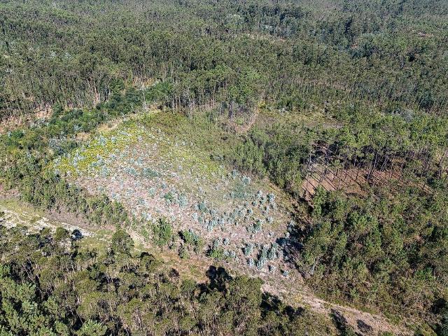 Terreno à venda em Covões e Camarneira, Cantanhede RE/MAX Portugal