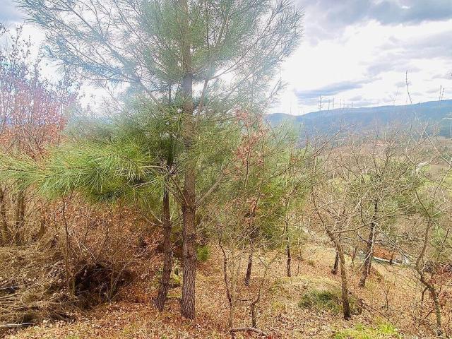 Terreno à venda em Covas do Barroso, Boticas RE/MAX Portugal
