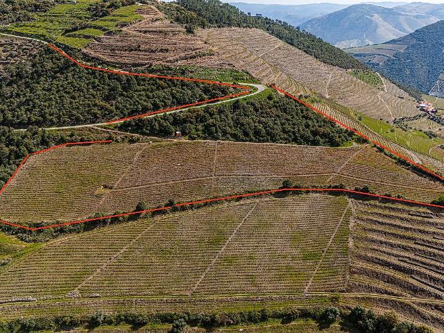 Terreno à venda em Covas do Douro, Sabrosa RE/MAX Portugal