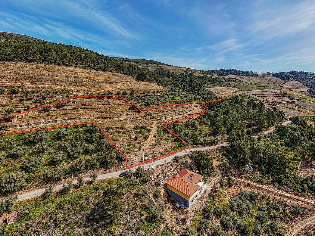 Terreno à venda em Covas do Douro, Sabrosa RE/MAX Portugal