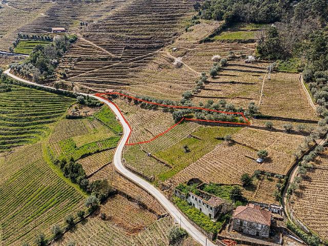Terreno à venda em Covas do Douro, Sabrosa RE/MAX Portugal