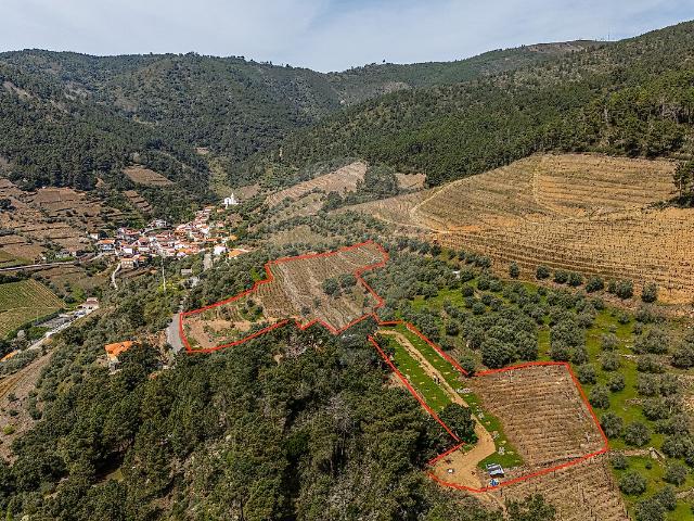 Terreno à venda em Covas do Douro, Sabrosa RE/MAX Portugal