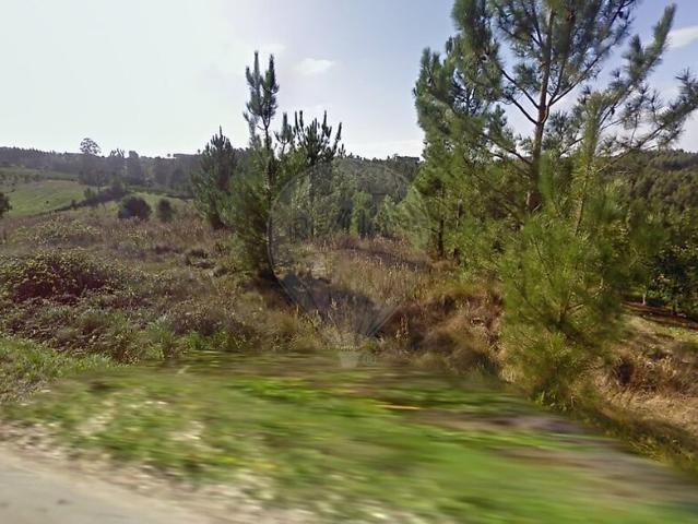 Terreno à venda em Coz, Alpedriz e Montes, Alcobaça RE/MAX Portugal