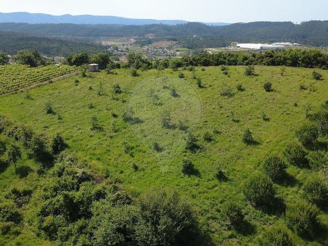 Terreno à venda em Coz, Alpedriz e Montes, Alcobaça RE/MAX Portugal