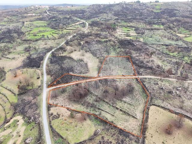 Terreno à venda em Codesseiro, Guarda RE/MAX Portugal